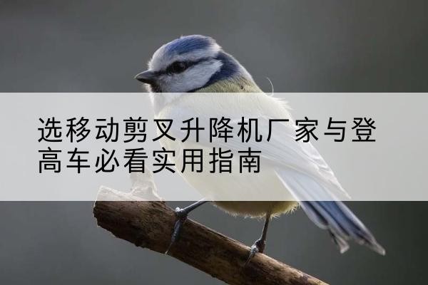 青冈电动升降机厂家-选移动剪叉升降机厂家与登高车必看实用指南