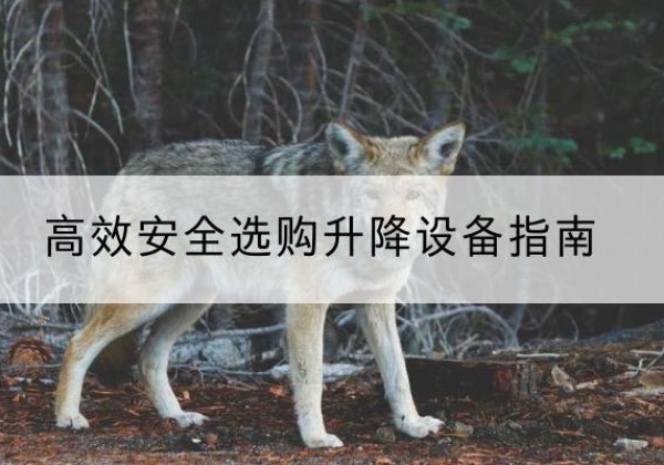 青冈升降货梯厂家推荐-*安全选购升降设备指南