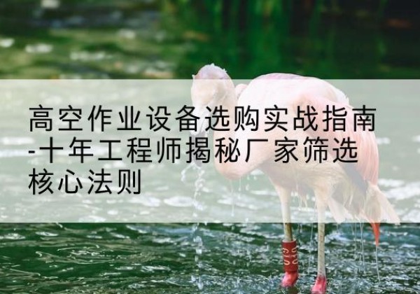 青冈剪叉式升降机厂家-高空作业设备选购实战指南-十年工程师揭秘厂家筛选核心法则