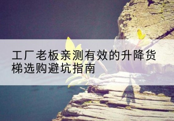 青冈升降货梯怎么选-工厂老板亲测有效的升降货梯选购避坑指南